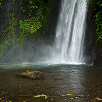 Photo de Bali - Autour de Munduk